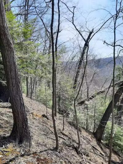 Hemlock Creek Picnic Area - Walton Hills, OH