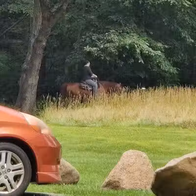 Hemlock Creek Picnic Area - Walton Hills, OH