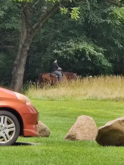 Hemlock Creek Picnic Area - Walton Hills, OH