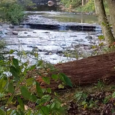 Hermit's Hollow Picnic Area - Walton Hills, OH