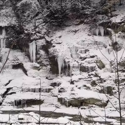 Hermit's Hollow Picnic Area - Walton Hills, OH