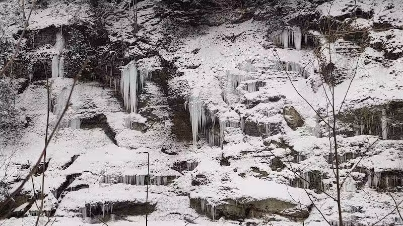 Hermit's Hollow Picnic Area - Walton Hills, OH