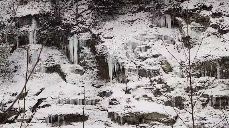 Hermit's Hollow Picnic Area - Walton Hills, OH