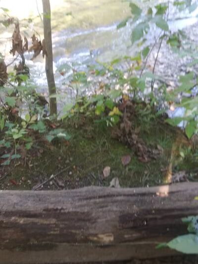 Hermit's Hollow Picnic Area - Walton Hills, OH