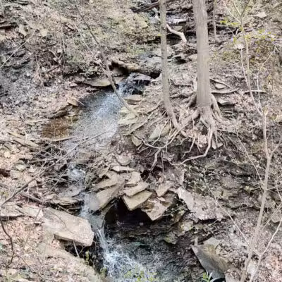 Sagamore Creek Trail Loop - Walton Hills, OH