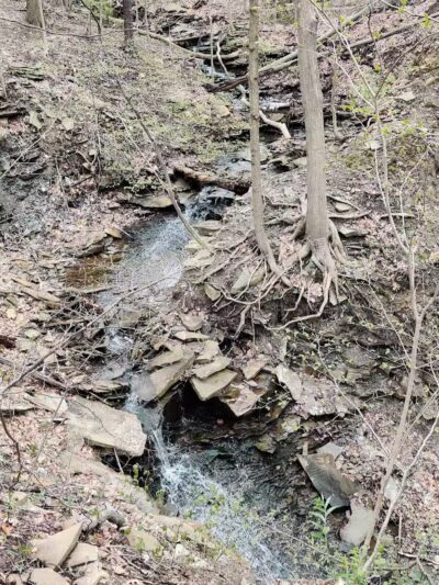 Sagamore Creek Trail Loop - Walton Hills, OH