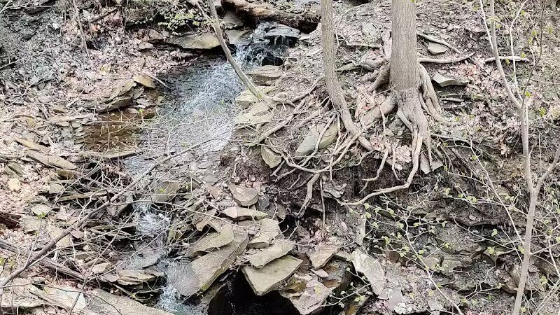 Sagamore Creek Trail Loop - Walton Hills, OH