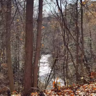 Sagamore Creek Trail Loop - Walton Hills, OH