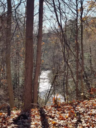 Sagamore Creek Trail Loop - Walton Hills, OH