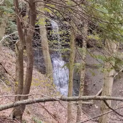 Sagamore Creek Trail Loop - Walton Hills, OH