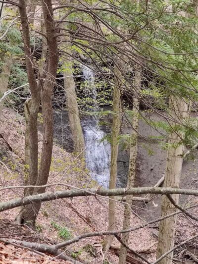 Sagamore Creek Trail Loop - Walton Hills, OH
