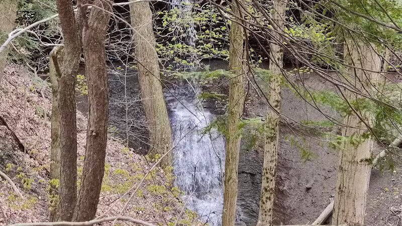 Sagamore Creek Trail Loop - Walton Hills, OH