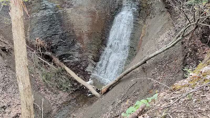 Sagamore Creek Trail Loop - Walton Hills, OH