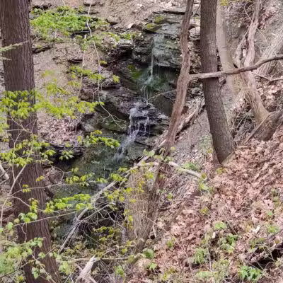 Sagamore Creek Trail Loop - Walton Hills, OH