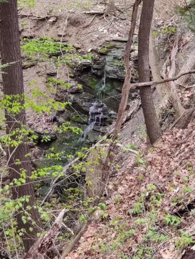 Sagamore Creek Trail Loop - Walton Hills, OH