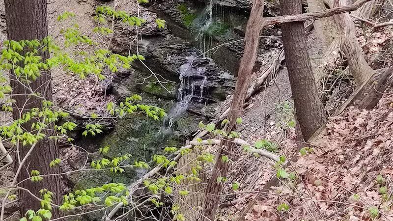 Sagamore Creek Trail Loop - Walton Hills, OH