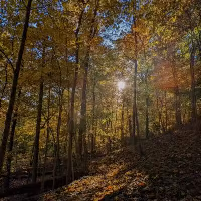 Sagamore Creek Trail Loop - Walton Hills, OH