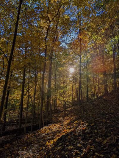 Sagamore Creek Trail Loop - Walton Hills, OH