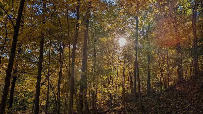 Sagamore Creek Trail Loop - Walton Hills, OH