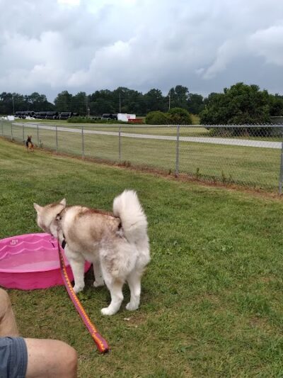 Wapak Dog Park - Wapakoneta, OH