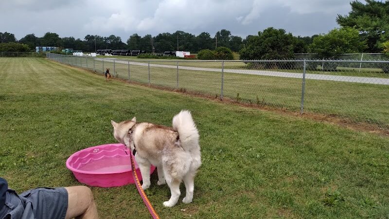 Wapak Dog Park - Wapakoneta, OH