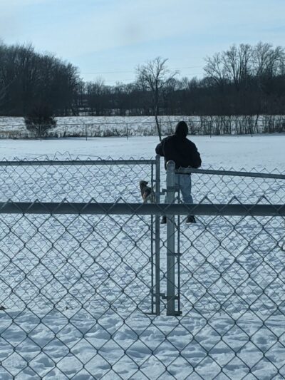 Wapak Dog Park - Wapakoneta, OH