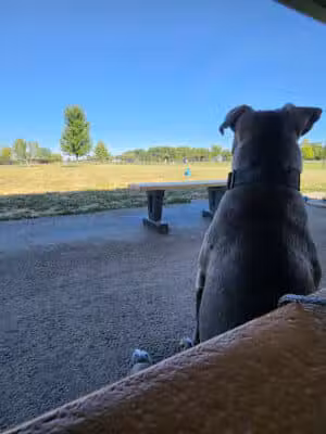 Warminster Dog Park - Warminster, PA