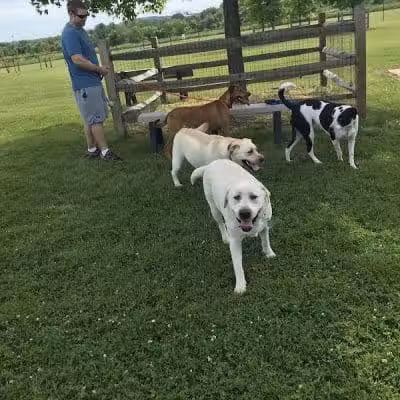 Doylestown Private Dog Park (members only) - Warrington, PA