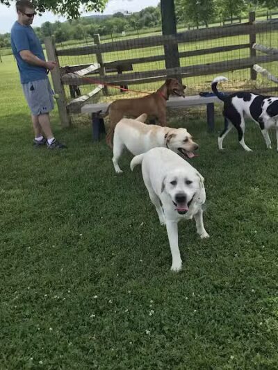 Doylestown Private Dog Park (members only) - Warrington, PA