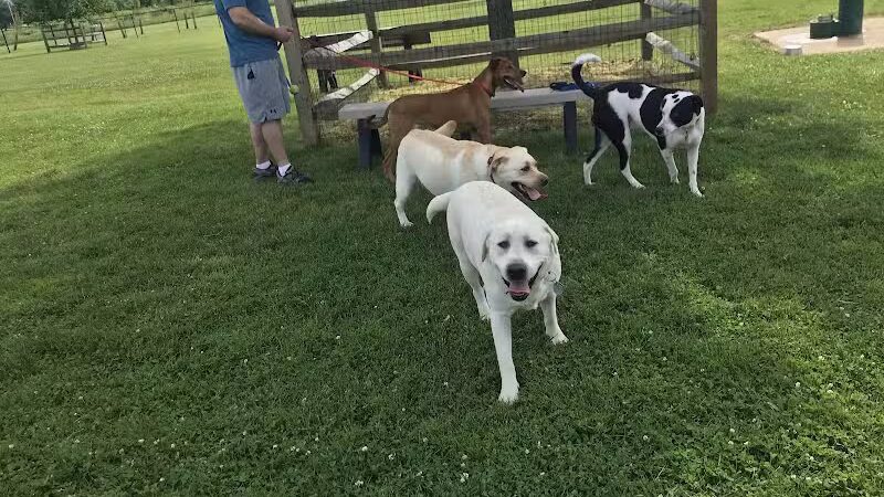 Doylestown Private Dog Park (members only) - Warrington, PA