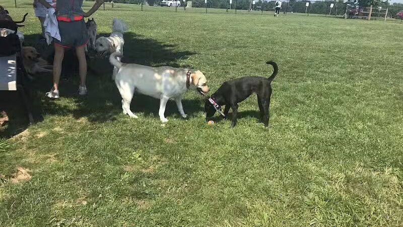 Doylestown Private Dog Park (members only) - Warrington, PA