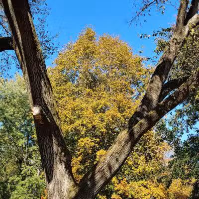 River View Community Park - Warsaw, OH