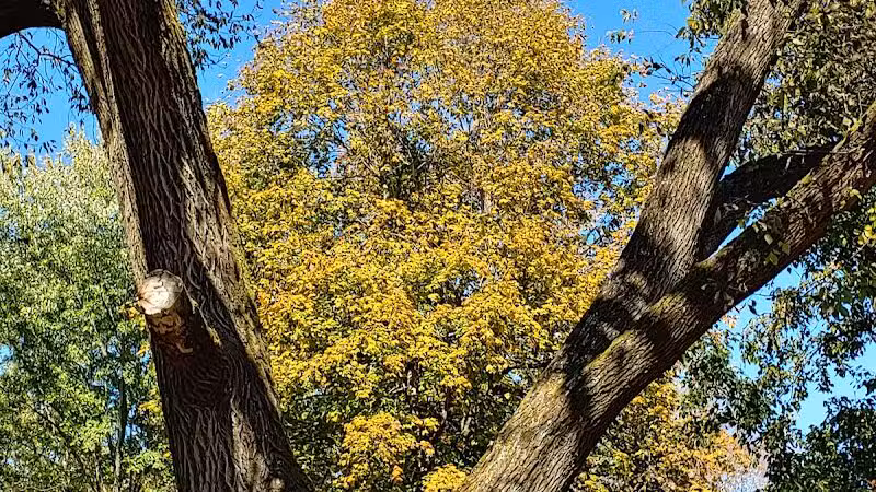 River View Community Park - Warsaw, OH
