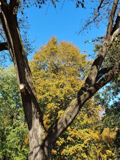 River View Community Park - Warsaw, OH
