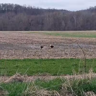 Warsaw Public Access - Warsaw, OH