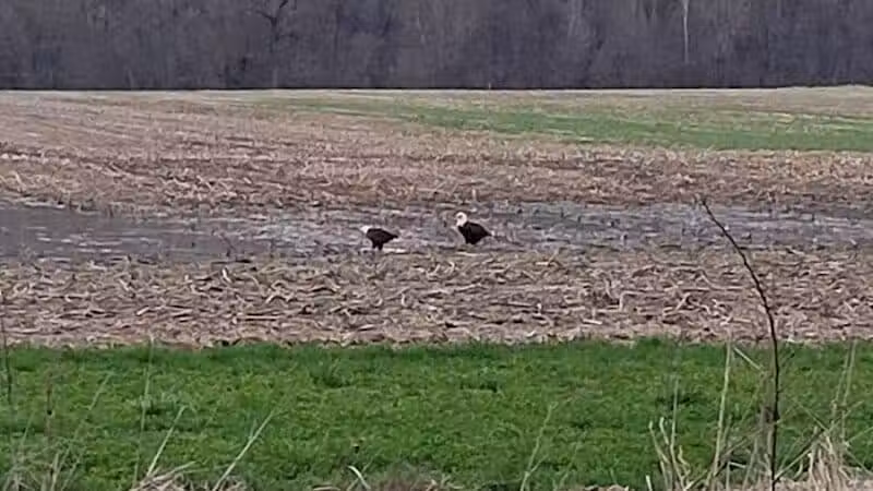 Warsaw Public Access - Warsaw, OH