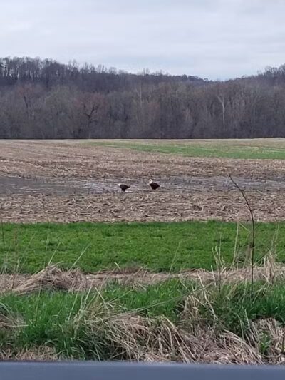 Warsaw Public Access - Warsaw, OH