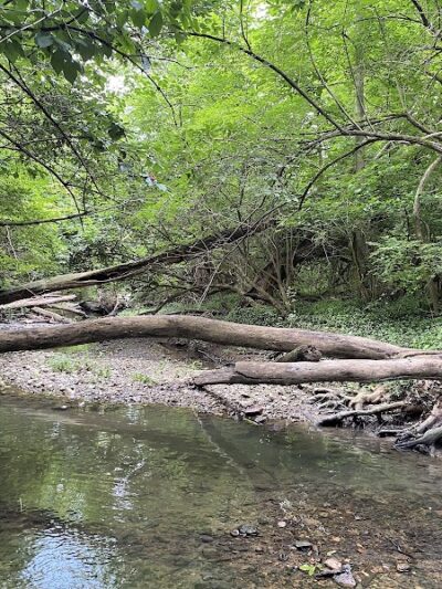 Beechwood Springs Park - Washington Township, OH