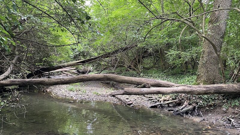 Beechwood Springs Park - Washington Township, OH