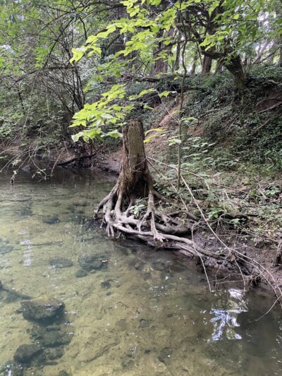 Beechwood Springs Park - Washington Township, OH