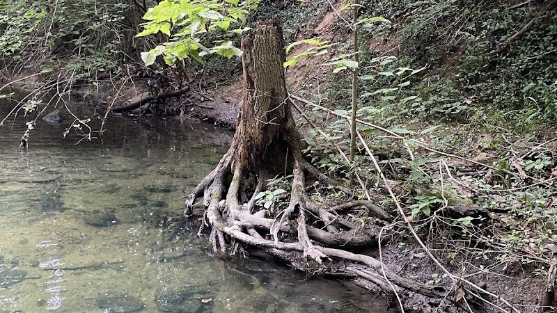 Beechwood Springs Park - Washington Township, OH