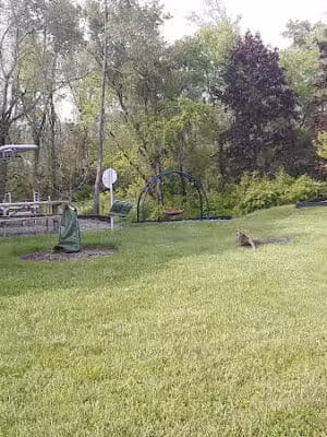 Beechwood Springs Park - Washington Township, OH