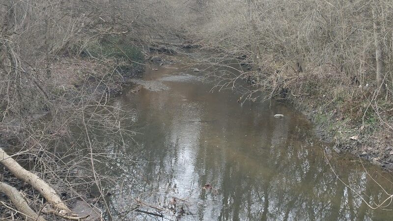 Beechwood Springs Park - Washington Township, OH