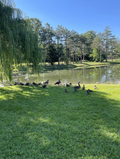 Countryside Park - Washington Township, OH