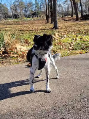 Countryside Park - Washington Township, OH