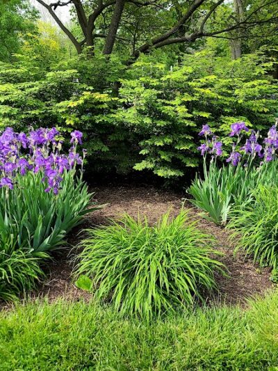 Countryside Park - Washington Township, OH