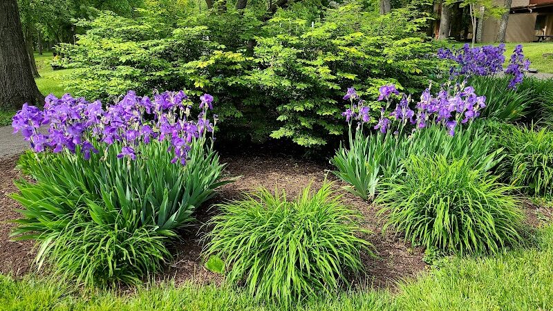 Countryside Park - Washington Township, OH