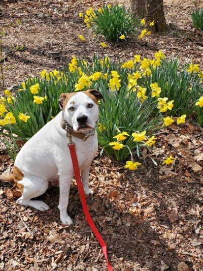 Countryside Park - Washington Township, OH