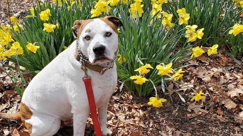 Countryside Park - Washington Township, OH