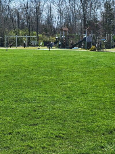 Forest Field Park - Washington Township, OH